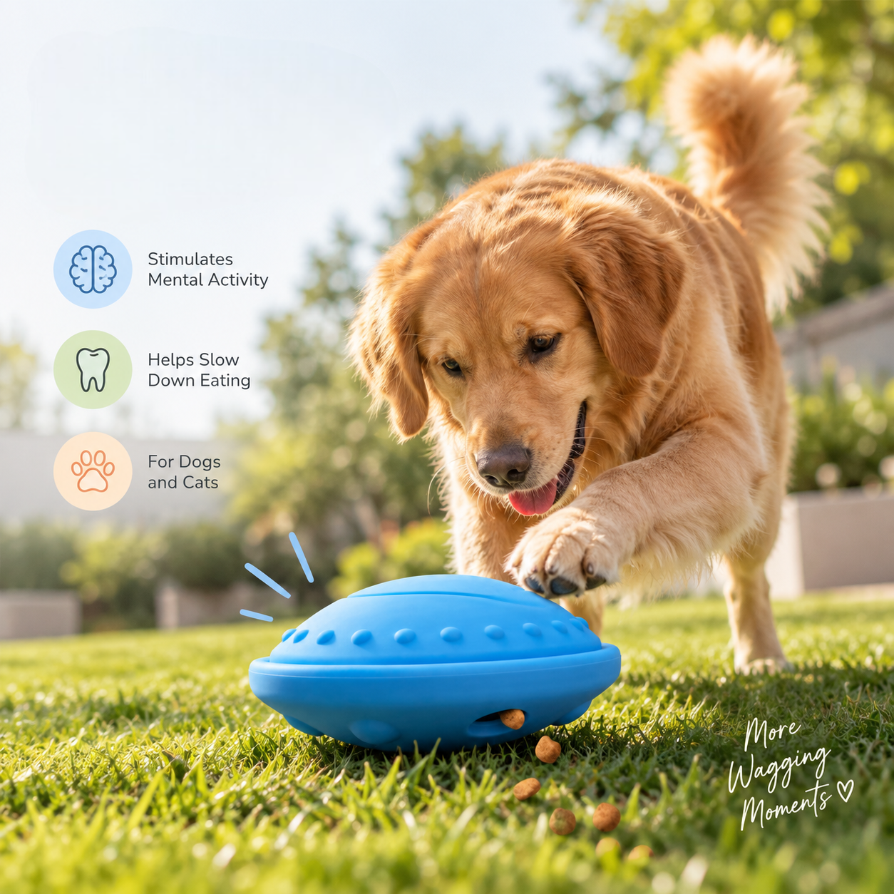 Interactive Treat-Dispensing Puzzle Ball