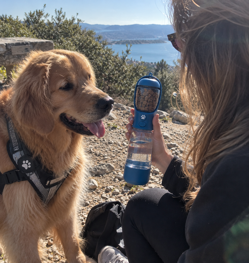 3-in-1 Pet Travel Water Bottle